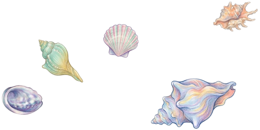 Ilustracija školjki u pastelnim bojama